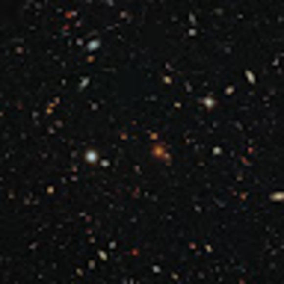 Meet your Posher, Nora - Picture 1 of 1